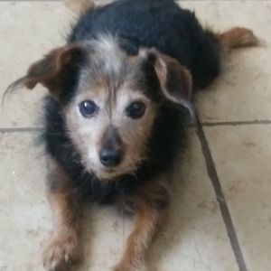 Meet your Posher, Summer